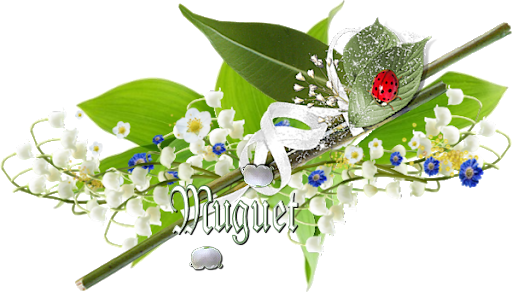 B_separation_muguet-