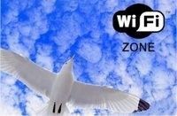 Wi-fi au Paradis...