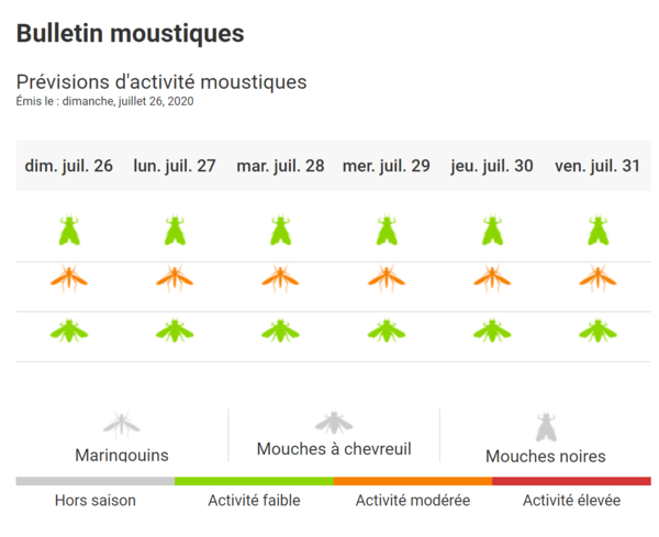 Prévisions d'activité moustiques