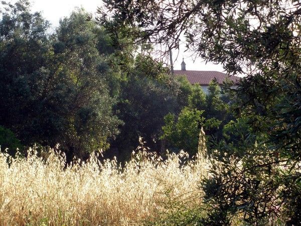 Auprès de chez moi hier