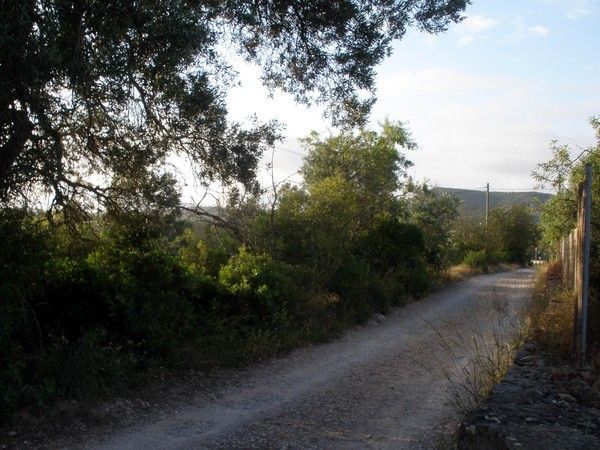 Auprès de chez moi hier