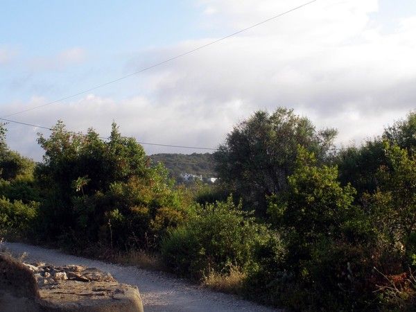 Auprès de chez moi hier