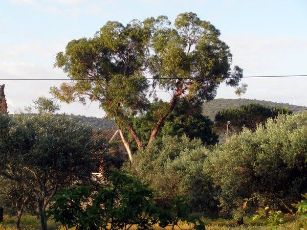 Auprès de chez moi hier