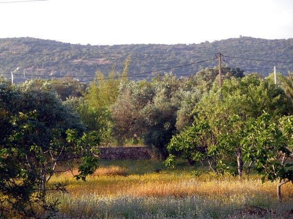 Auprès de chez moi hier