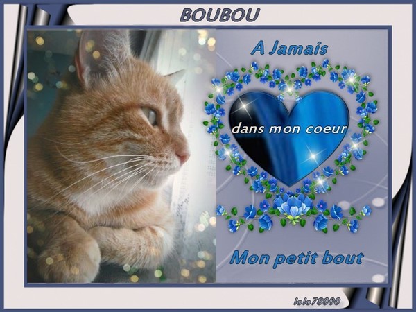 pour mon petit boubou