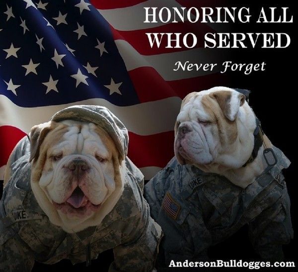 "Honoring all whe served. Never forget" ...