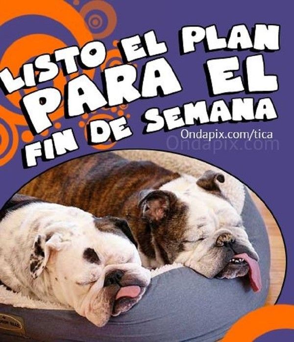 "Listo el plan para el fin de semana" ...