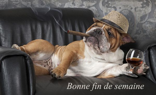 "Bonne fin de semaine" - Détendu avec un verre ...