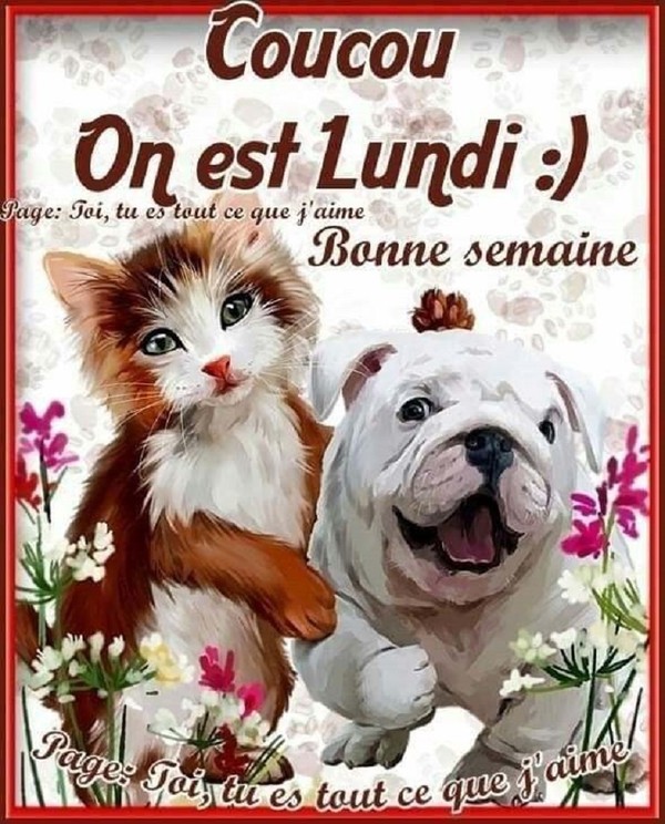 "Coucou On est lundi :) Bonne semaine"   ...