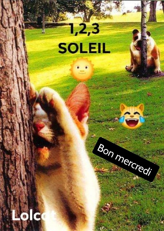 "1,2,3 soleil Bon mercredi"   ...