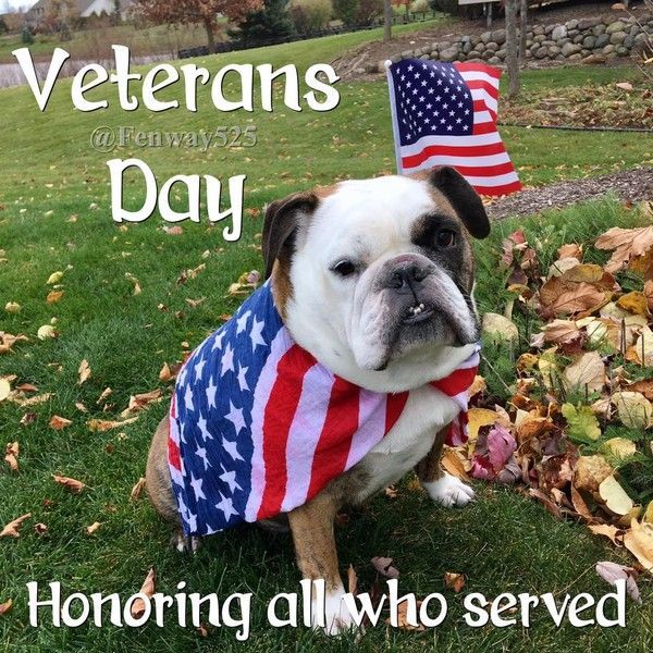 "Veterans Day - Honoring all who served" ...