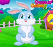 Spiel - Pet Bunny Grooming