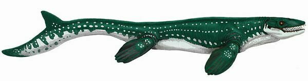 Artist's reconstruction of the mosasaur Prognathodon saturator.