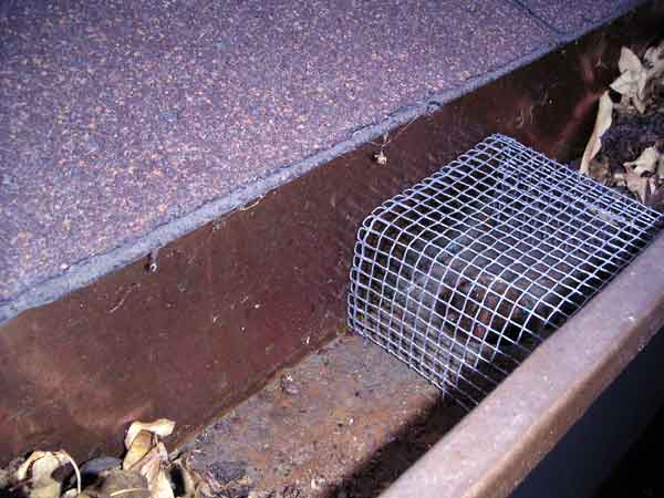 screen over the downspout