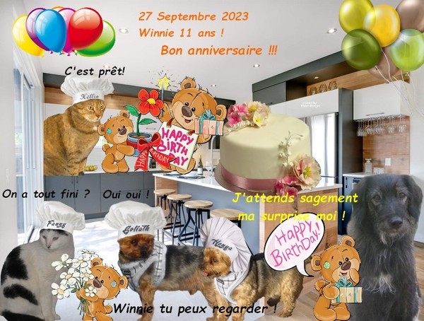 JOYEUX ANNIVERSAIRE A WINNIE 11 ANS !