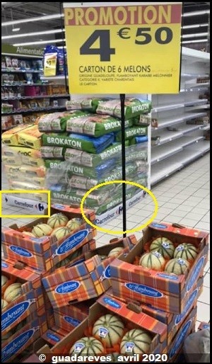 le prix des melons