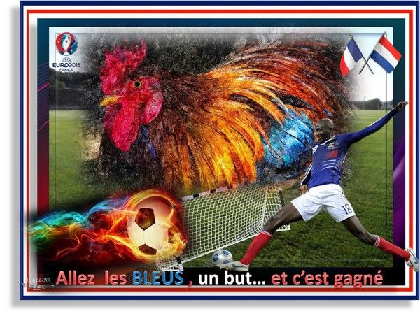 LE COQ FRANCAIS VIVE LES BLEUS