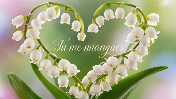 TU ME MANQUES