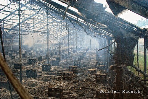 large fire in Libertyville at the Jamaican Gardens nursery