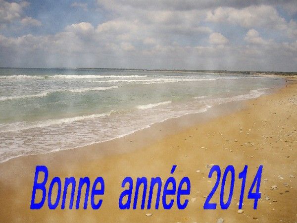 Bonne année