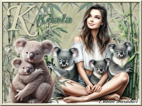 K  comme Koala