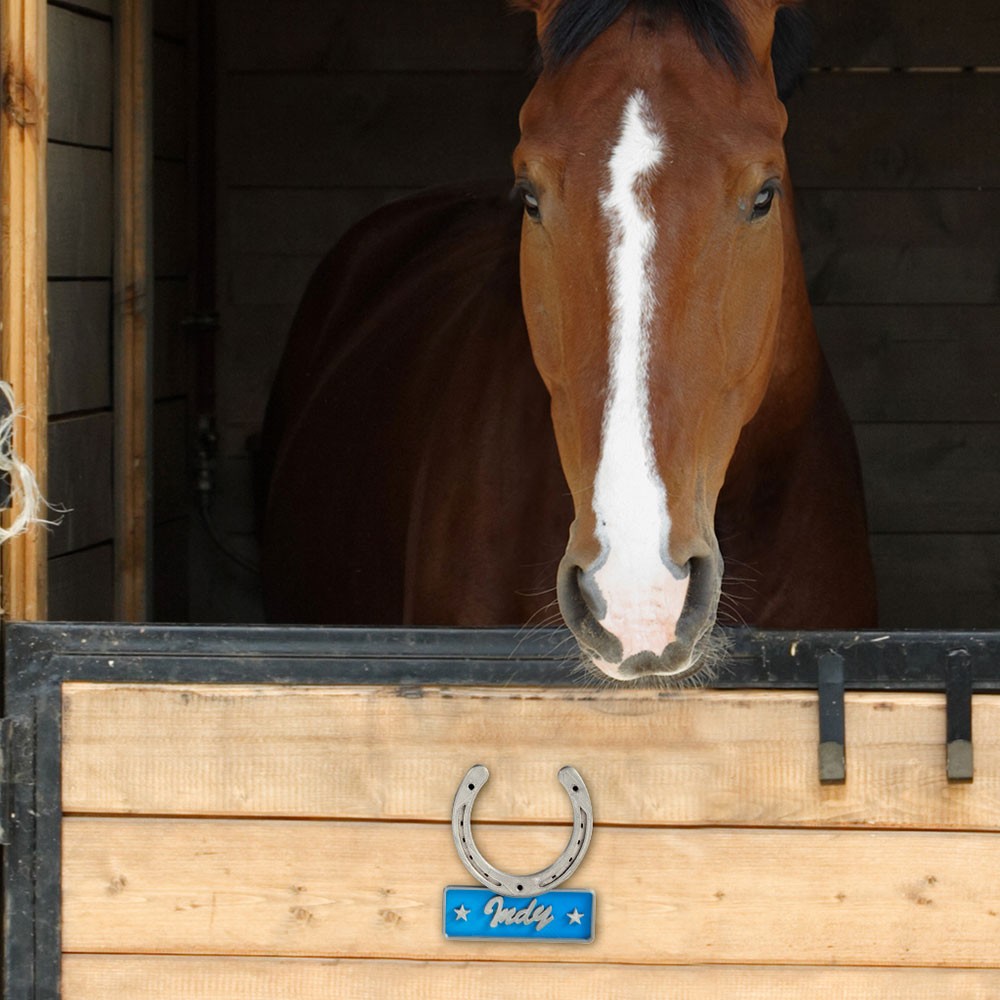 Personalized Stable Door Name Plate