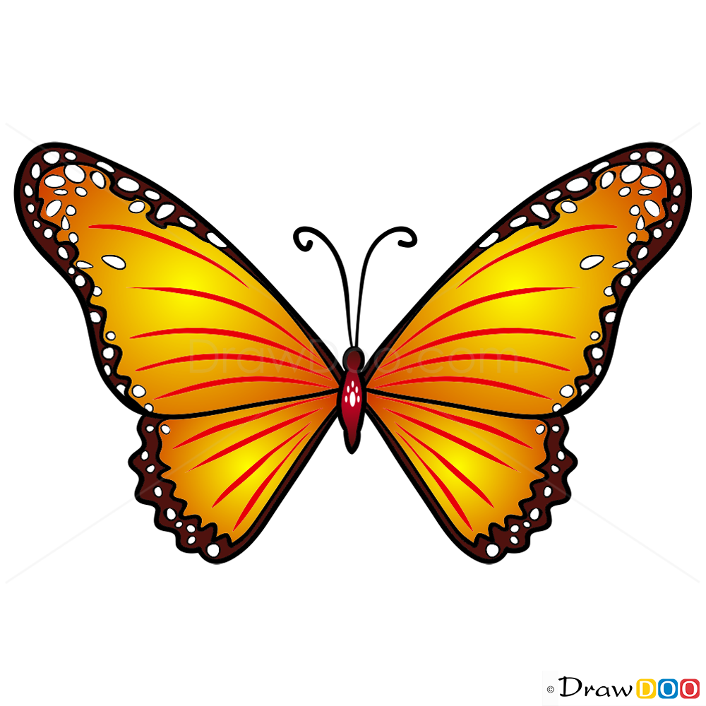 cute yellow butterfly clipart png