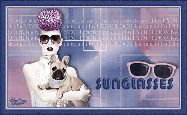 661. Sunglasses