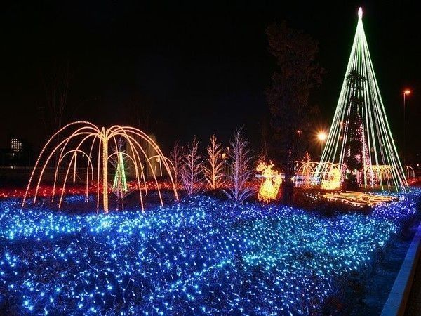 Les Illuminations de Noël