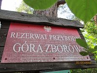 Góra Zborów