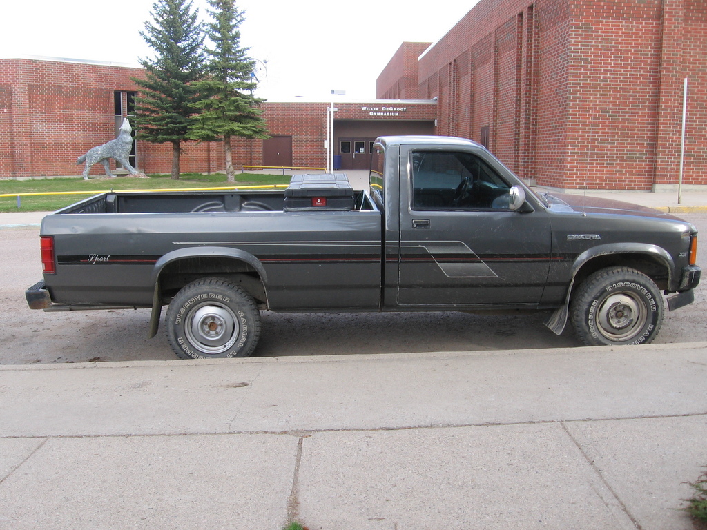 Dodge Dakota 3.9 i V6 4X4 Regular Cab