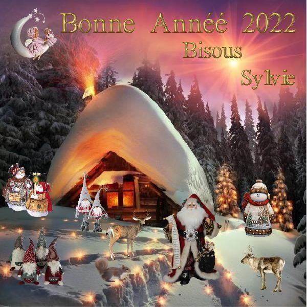 Bonne année 2022