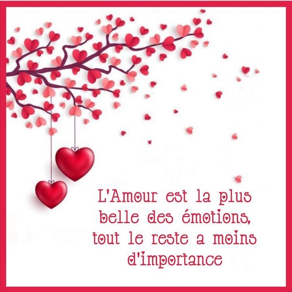 Citation