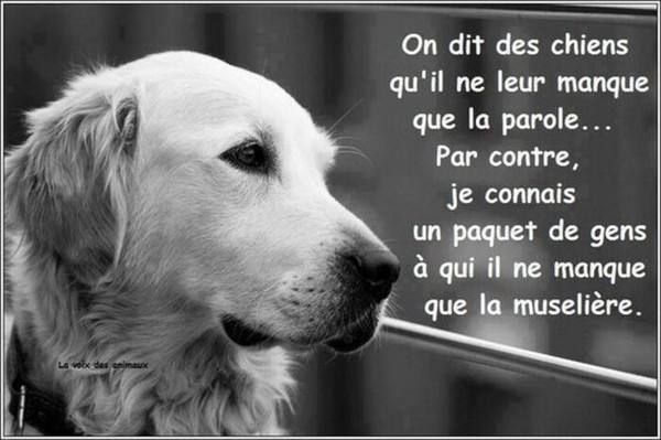 Citation.