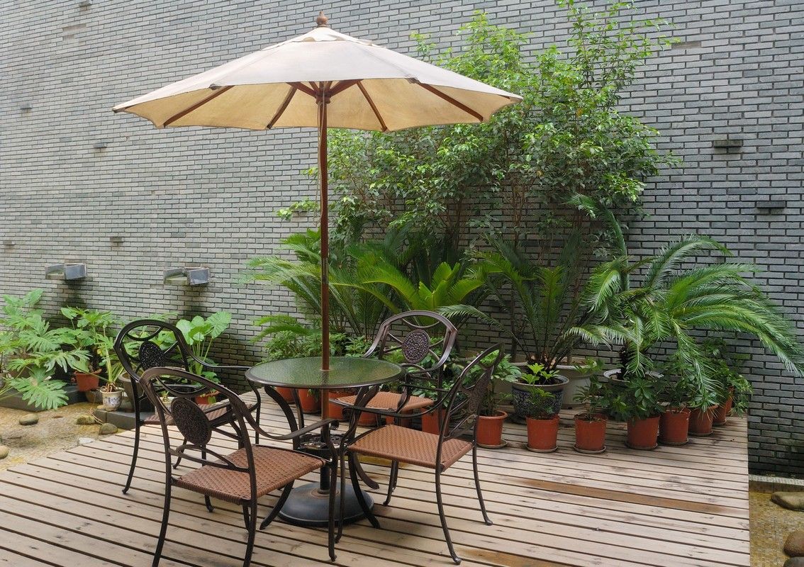 Deck with ferns to host summer guests