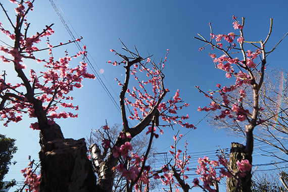 今年の3月11日も、「あの日」と同じで、朝から快晴でした。