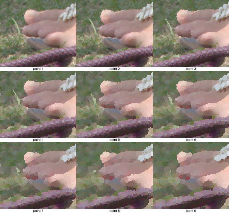 toes_pt9.pngjpg