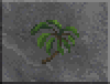 DF-icon-ingredient-Palm.png