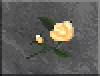 DF-icon-ingredient-White rose.png