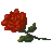 DF-item-Sanguine Rose.png