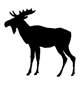 moose%20clipart