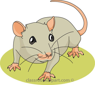 mouse%20clipart