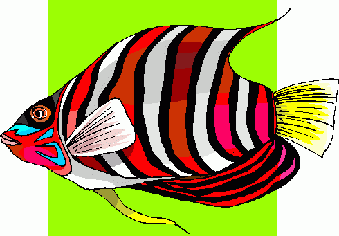 angel%20fish%20clipart