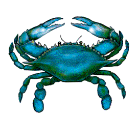 blue%20crab%20painting