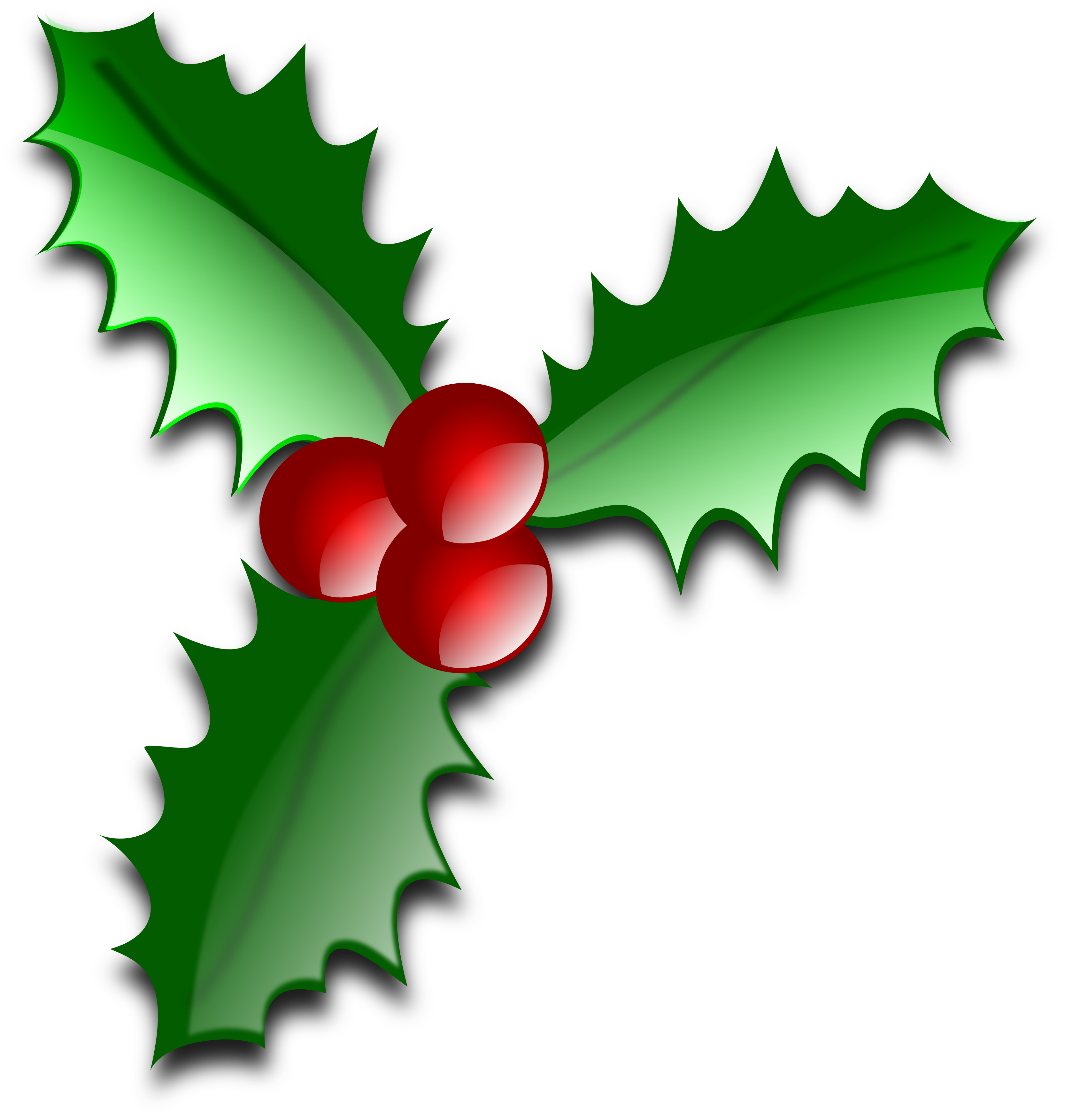 christmas holly clipart