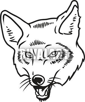 Coyote Clip Art