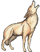 Coyote Clip Art