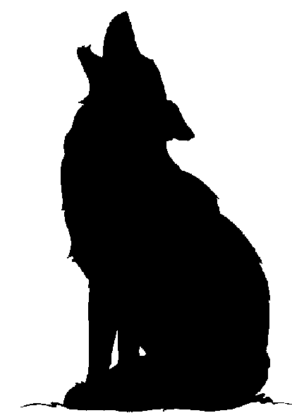 Coyote Clip Art