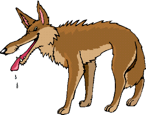 Coyote Clip Art