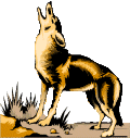 Coyote Clip Art